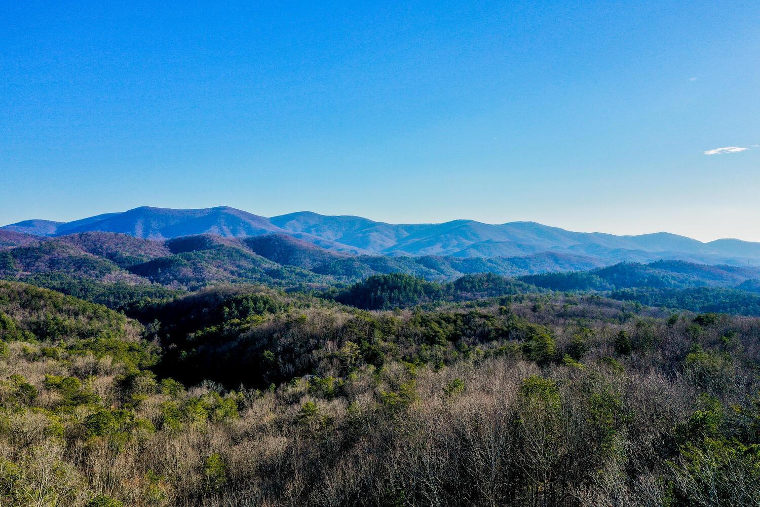 Blue Ridge Bliss- Spacious Cabin, Pets, Hot Tub! المظهر الخارجي الصورة